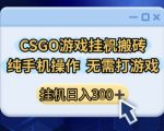 CSGO游戏挂G搬砖，小白纯手机即可操作，不用电脑打游戏，日入3张+，副业网创项目【揭秘】