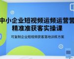 中小企业短视频运营精准获客实操课，可复制企业短视频获客落地训练方案