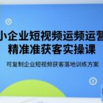 中小企业短视频运营精准获客实操课，可复制企业短视频获客落地训练方案