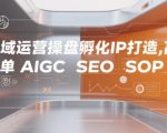 全域运营操盘孵化IP打造，高效 简单 AIGC SEO SOP