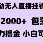 最新全自动抖音无人直播挂G项目，日入2k+ 包落地暴力撸金，小白可做【揭秘】