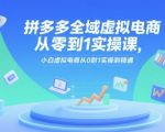 拼多多全域虚拟电商从零到1实操课，小白虚拟电商从0到1实操到精通
