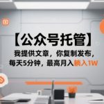 【公众号托管 】我提供文章，你复制发布，每天5分钟，最高月入躺入1W【揭秘】