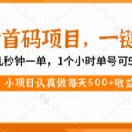 最新首码项目，操作最简单，收益高，一键拉新，1个小时单号可50+，小项目认真做每天5张+收益【揭秘】