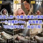 历史人物一生爆火赛道ai课程，一个月爆粉40w，蓝海赛道，可过伙伴计划，收益可观