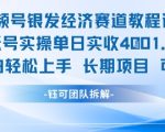 视频号银发经济赛道单账号实操单日实收1k+，小白轻松上手长期项目