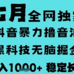 7月最新风口抖音无人直播撸音浪，长期稳定，非短期，全自动运行，低门槛无脑，日入1k+【揭秘】