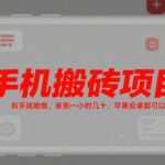 手机搬砖项目，有手就能做，亲测一小时几十，苹果安卓都可以