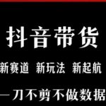 抖音短视频一刀不剪带货，不剪辑，不直播，每天发个视频，等着出单获取带货佣金