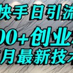创业粉怎么打？快手精准引流创业粉，宝妈群体日进500+精准流量