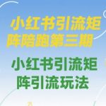 小红书引流矩阵陪跑第三期，小红书引流矩阵引流玩法