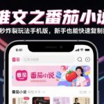 小说推文之番茄小说混剪40秒炸裂玩法手机版，新手也能快速复制操作