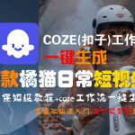 COZE(扣子)工作流一键生成爆款橘猫日常短视频，保姆级教程，零基础快速入门