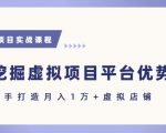 抓住虚拟项目各平台优势，新手轻松月入1W+(给出具体建议)