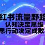 小红书流量野路子，认知决定思维，思维决定行动，行动决定成败