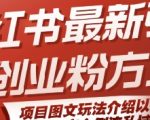 小红书最新引流创业粉方式，项目图文玩法介绍以及如何安全倒流私域