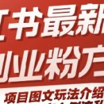 小红书最新引流创业粉方式，项目图文玩法介绍以及如何安全倒流私域