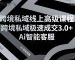 跨境私域线上高级课程，跨境私域极速成交3.0+Ai智能客服