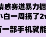 情感暴力掘金项目，新人操作一周挣了2W，长期稳定小白可做【揭秘】