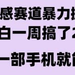 情感暴力掘金项目，新人操作一周挣了2W，长期稳定小白可做【揭秘】