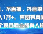不露脸、不直播、抖音单条视频日入1W+，有图有真相！这个项目适合所有人操作