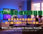 【海外虚拟项目掘金】日入100-200美刀，自己在家就可以闷声发大财，长期可做，工作室可复制扩大【揭秘】