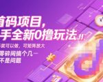 首码项目，快手全新0撸玩法，有快手就可以做，可矩阵放大，每天零碎时间搞个几张不是问题【揭秘】