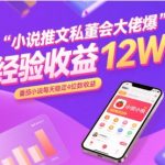 小说推文私董会大佬爆单经验分享收益12W，番茄小说每天稳定4位数收益