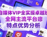 自媒体VIP全实操卓越班，全网主流平台特点优势分析