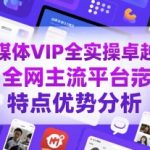 自媒体VIP全实操卓越班，全网主流平台特点优势分析