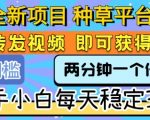 全新项目 种草平台 只需要转发任务视频 即可获得收益 新手小白每天稳定3张+【揭秘】
