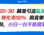 日引 20-30 精准引流私域新玩法，转化率50% 高客单虚拟资料，小白一台手机就能做
