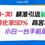日引 20-30 精准引流私域新玩法，转化率50% 高客单虚拟资料，小白一台手机就能做