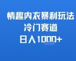 情趣内衣暴利玩法，冷门赛道，日入1k+