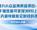 小众蓝海赛道项目：当天变现1k+适合新手操作 +适合长期玩