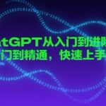 chatGPT从入门到进阶课程，从入门到精通，快速上手指南