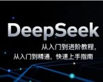 DeepSeek从入门到进阶教程，从入门到精通，快速上手指南