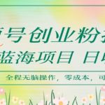 视频号创业粉打法，日入1k，蓝海项目，市场需求大，全程无脑操作，可复制