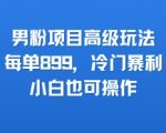 男粉项目高级玩法，每单899，冷门暴利，小白也可操作