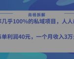 转化率最高的私域项目，每单利润40-50米，月入过1w