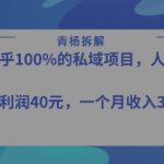 转化率最高的私域项目，每单利润40-50米，月入过1w