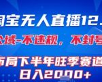 淘宝无人直播12.0，不封号，不违规，布局下半年旺季赛道，日入1k+(独家技术)【揭秘】