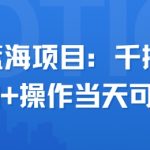 小众蓝海项目，千播变现2.5k+操作当天可变现
