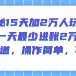 揭秘15天加2W人玩法，一天最少2万进账，蓝海赛道，操作简单，可矩阵