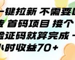 一键拉新 不需要回传 首码项目 接个验证码就算完成 一小时收益70+【揭秘】