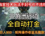 三角洲最新全自动G机，独家技术玩法，不封号也不违规， 日入8张+可矩阵操作，收益无限放大【揭秘】