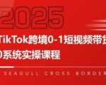 TikTok跨境0-1短视频带货，系统拆解TikTok跨境带货全链路，实现跨境可持续盈利