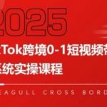 TikTok跨境0-1短视频带货，系统拆解TikTok跨境带货全链路，实现跨境可持续盈利