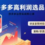 拼多多选品暴利技术实战课，拼多多高利润选品策略，拼多多限时低价标签秘诀