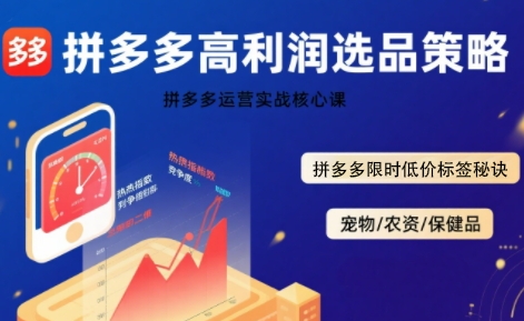 拼多多选品暴利技术实战课，拼多多高利润选品策略，拼多多限时低价标签秘诀